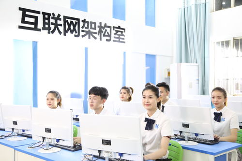2020年 雙11 成交額排行榜出爐,捧紅了哪些熱門專業(yè)