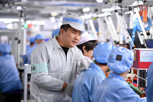 協(xié)調(diào)發(fā)展之引 峰 填 谷