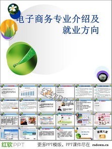電子商務(wù)專業(yè)畢業(yè)設(shè)計(jì)ppt下載