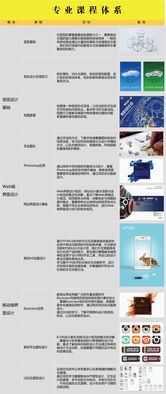 商務(wù)信息技術(shù)學(xué)院 專業(yè)設(shè)置 電子商務(wù)技術(shù) 湖南商務(wù)職業(yè)技術(shù)學(xué)院