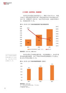 2018年金磚國家電子商務(wù)發(fā)展報告