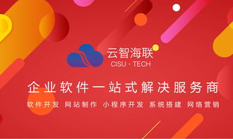 淺談 電商系統(tǒng)常見的幾種模式 云智海聯(lián)