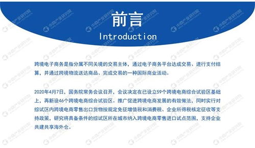 中商產(chǎn)業(yè)研究院 2020年中國跨境電商行業(yè)市場前景及投資研究報告 發(fā)布