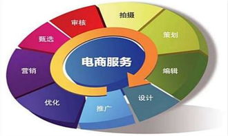 2020年湖南高職單招有電子商務(wù)專業(yè)全面介紹